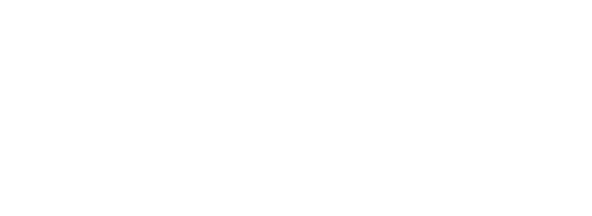 LOGO_RIDF_2019_BLANC-1-2